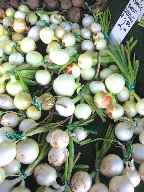 sweet white onions at farmers market