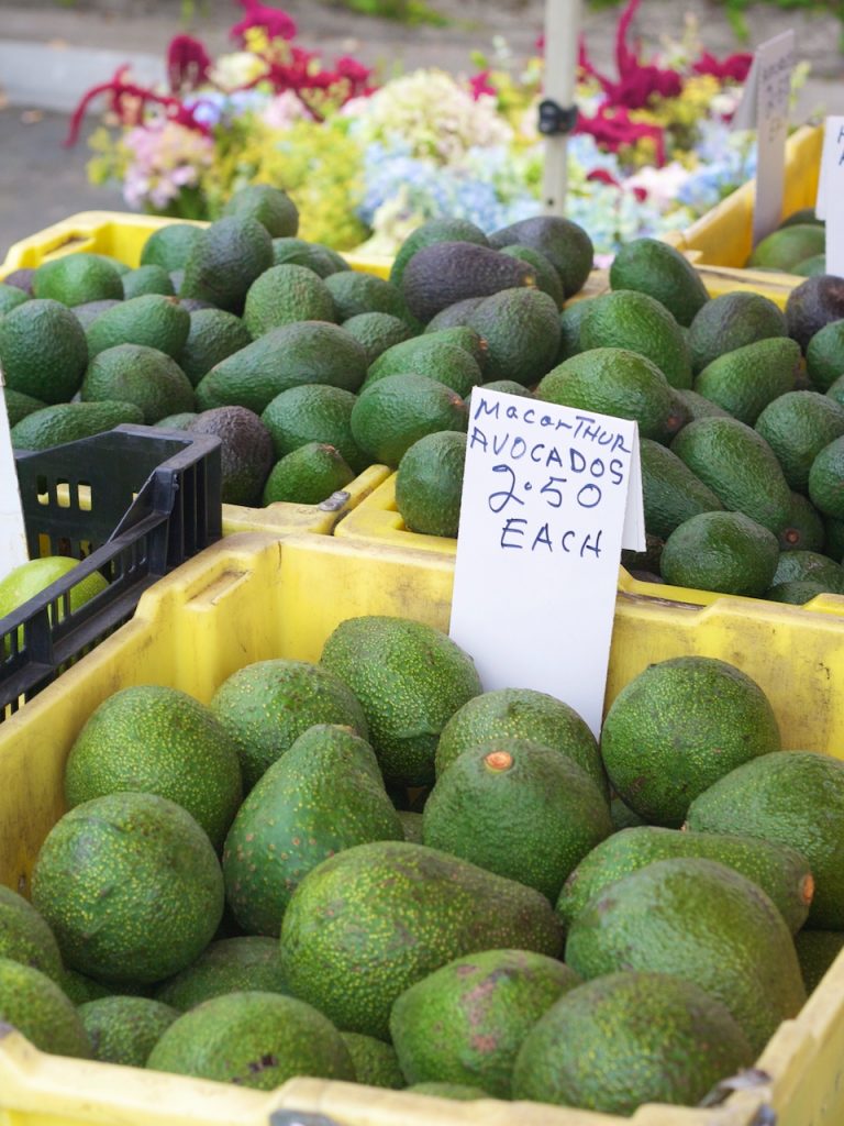 avocados at the farmers market