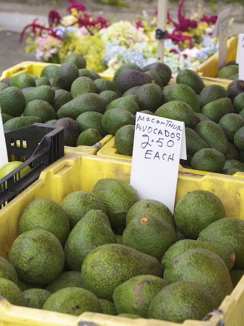 avocado