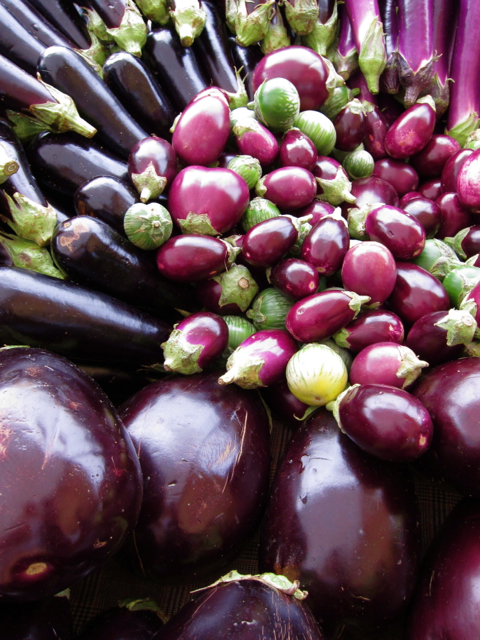 eggplant at farmers market