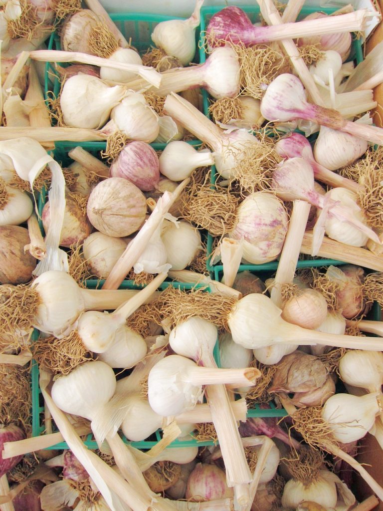 garlic at farmers market
