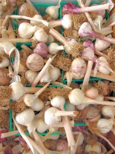 garlic at farmers market