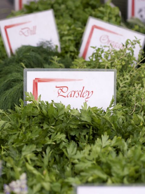 parsley