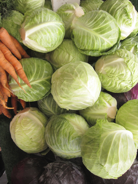 cabbage