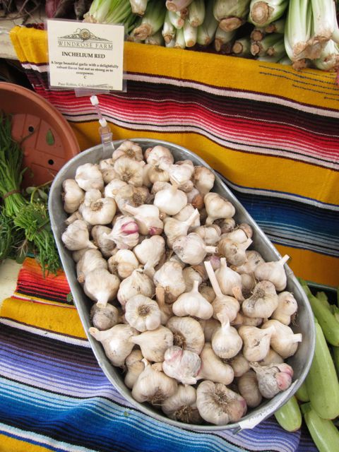 garlic