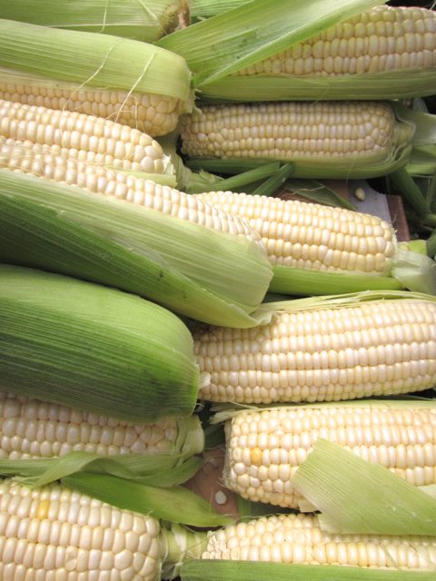 white corn