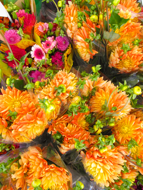 orange flowers