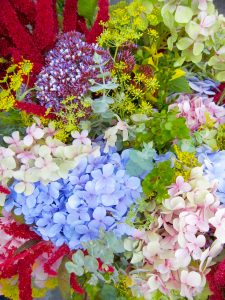 hydrangeas arrangement at the farmers market