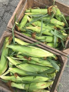 corn at the farmers market