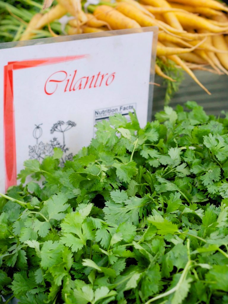 cilantro at the farmers market