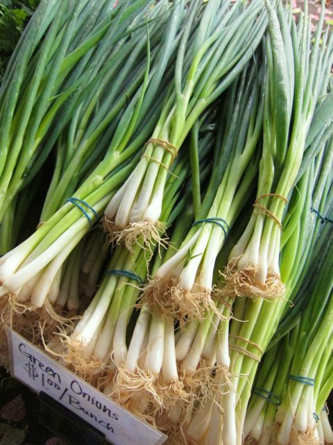 green onion