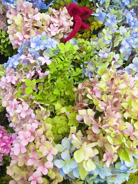 blue flowers farmer's market