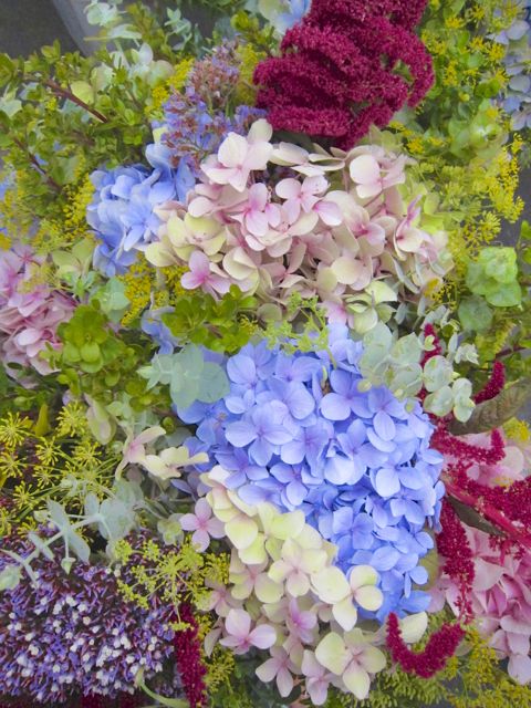 blue flowers farmer's market
