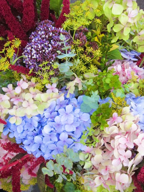 blue flowers