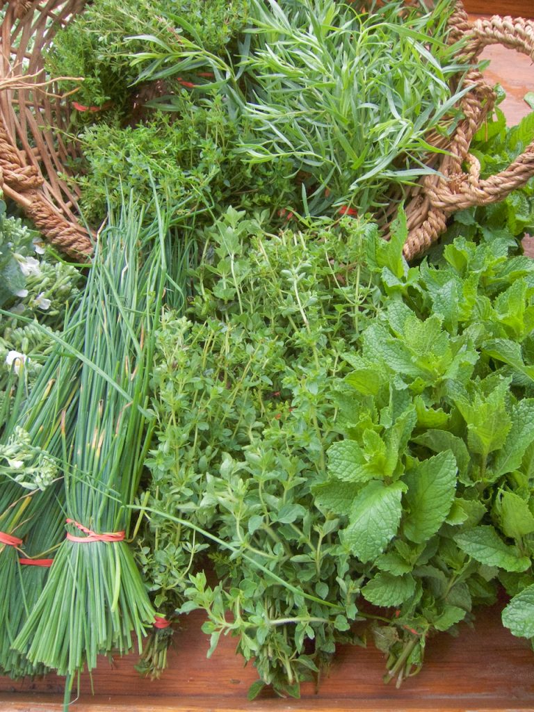 herbs at the farmers market