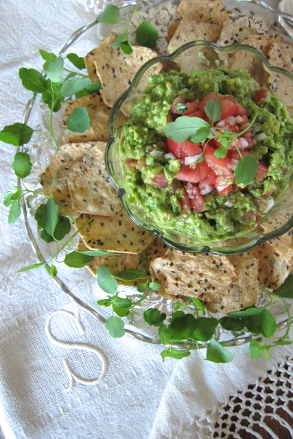 Guacamole Salsa
