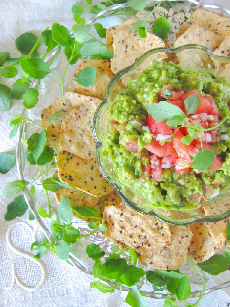 Guacamole Salsa