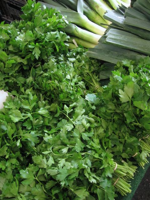 cilantro