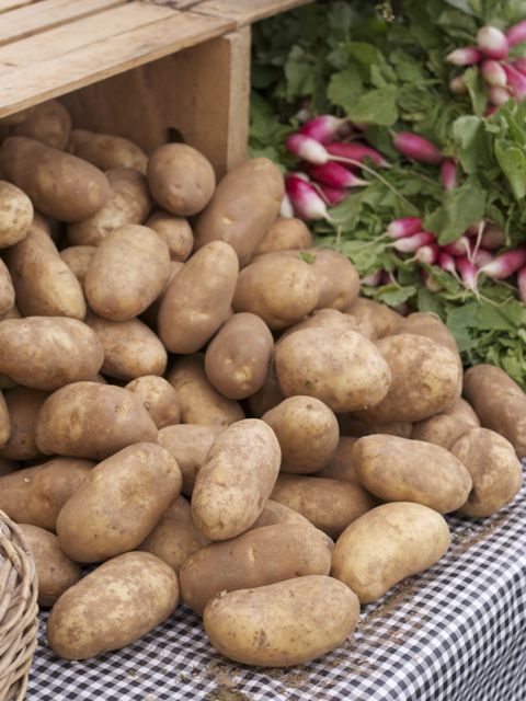russet potatoes