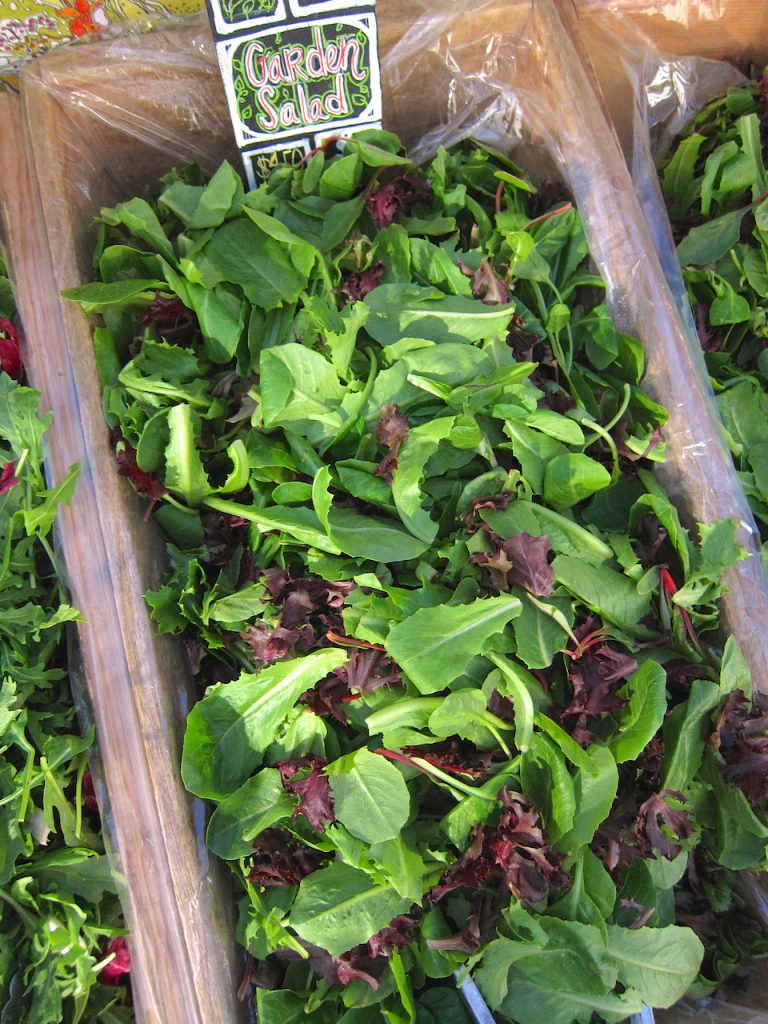 lettuce at the farmers market