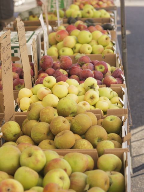 apples