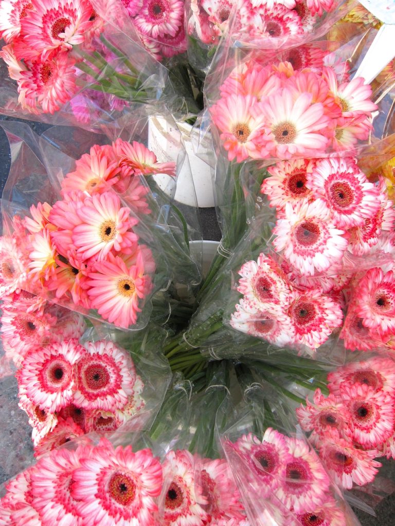 pink bouquet of flowers