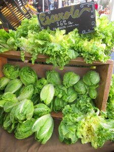 romaine at the farmers market