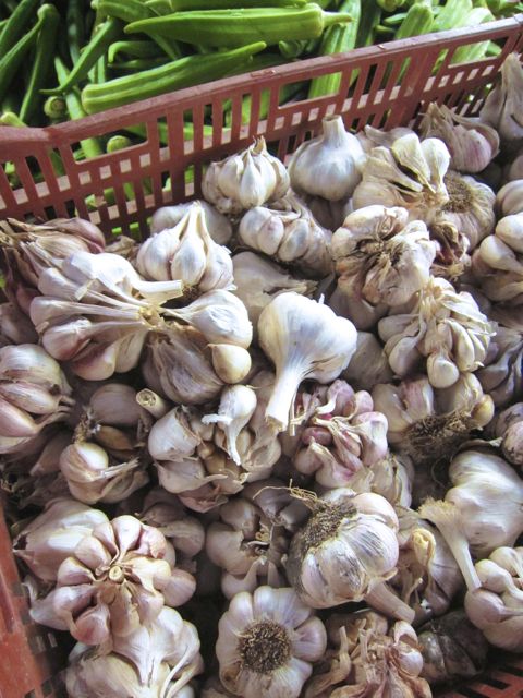 garlic at the farmers market