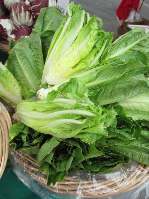 romaine at the farmers market