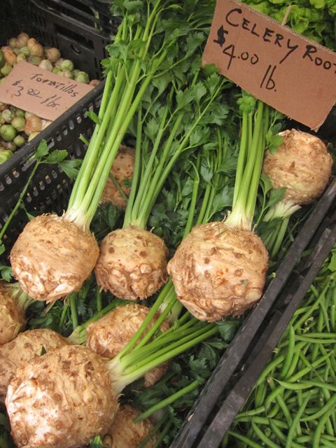 celery root at farmers market