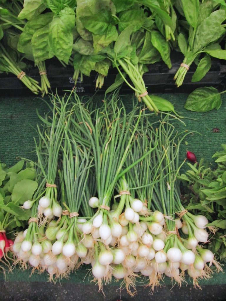 pearl onions at the farmers market