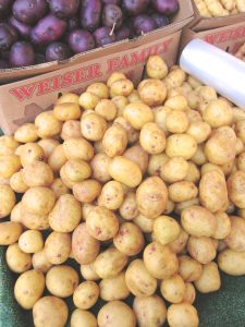yukon gold potatoes