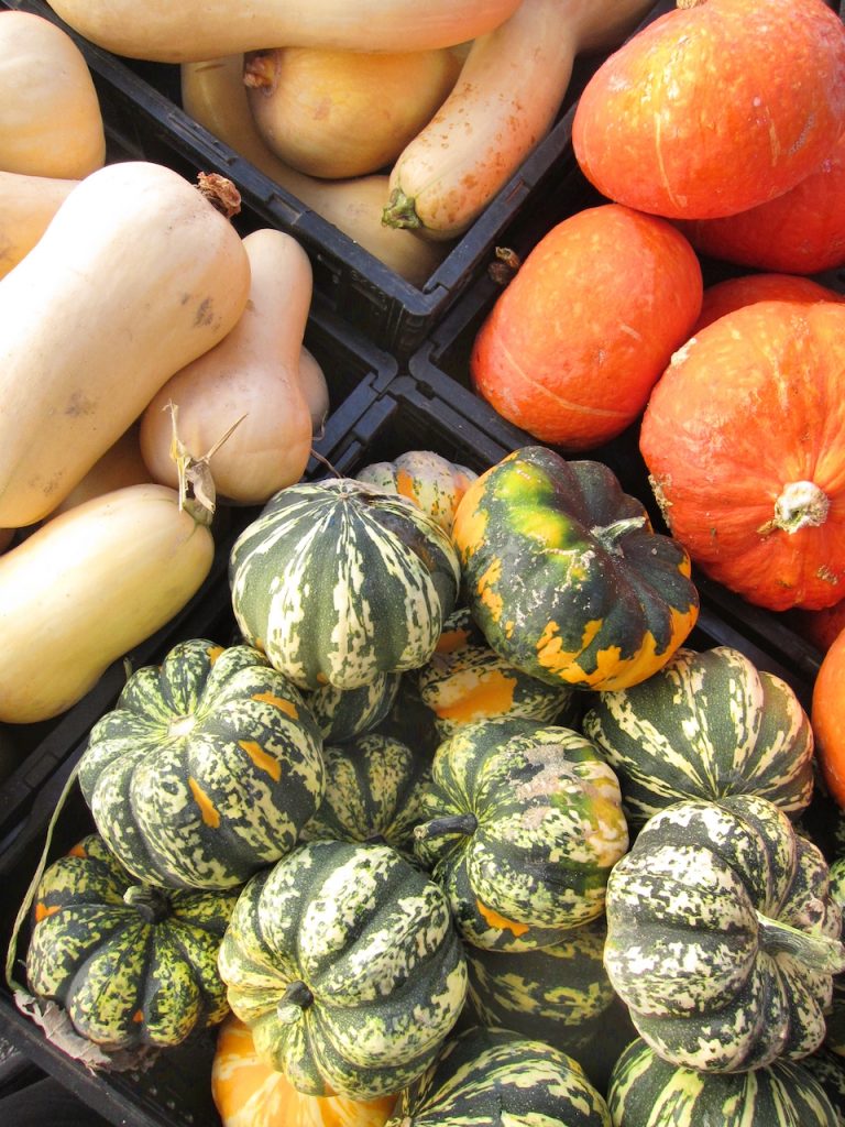 winter squash