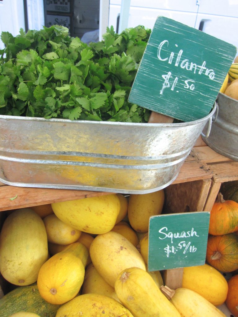 cilantro at the farmers market