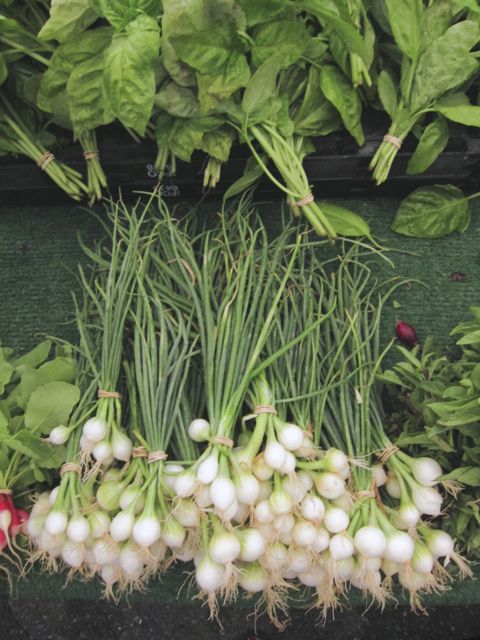 pearl onions