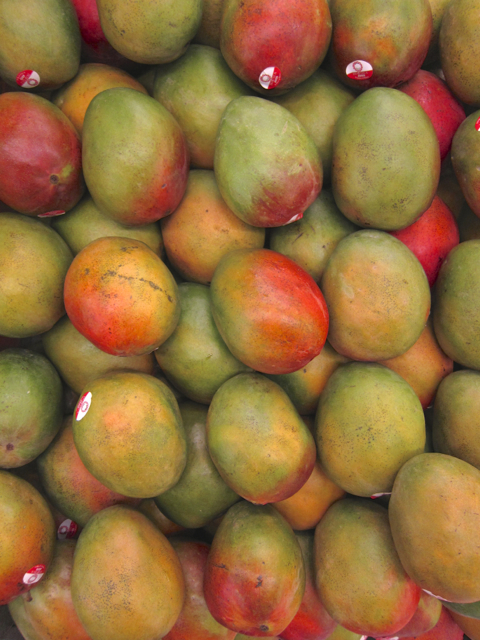 mango