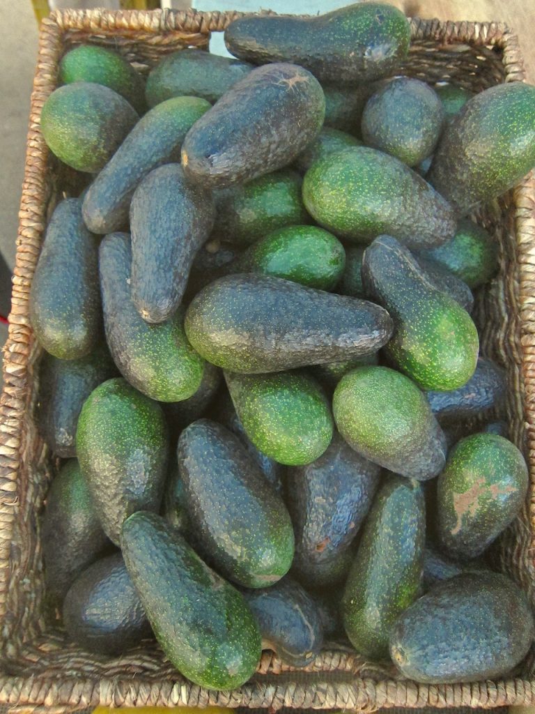 avocados at farmers market