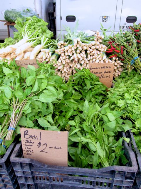 basil