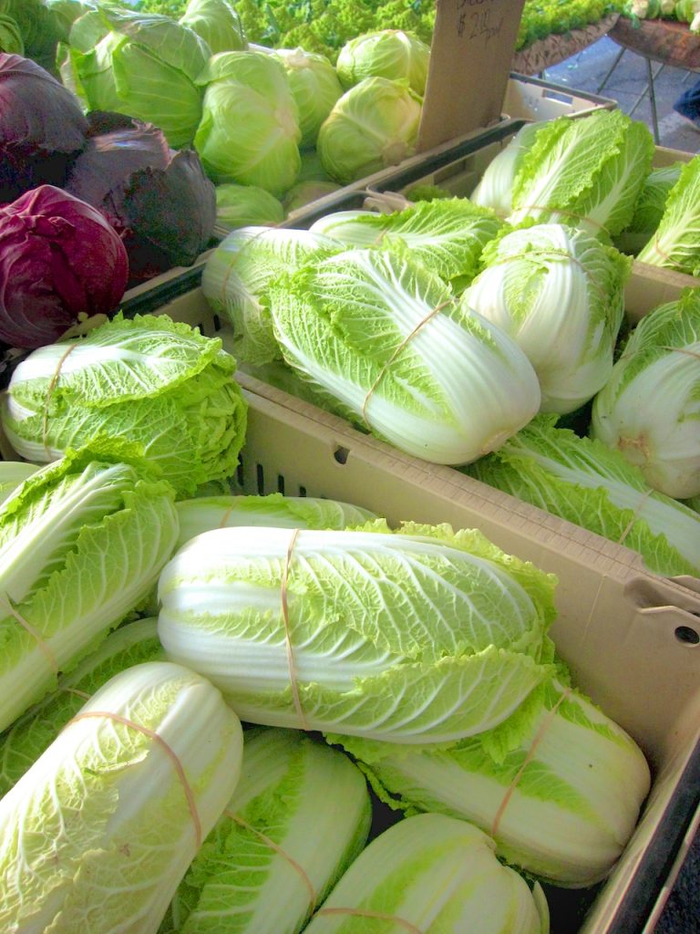 napa cabbage at farmers market