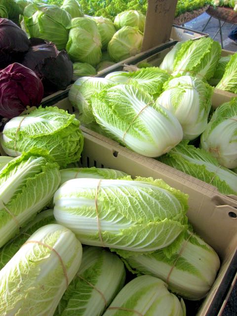 napa cabbage