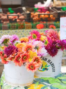 flowers in two buckets