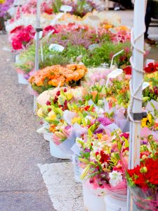 rows of flowers at the farmers market