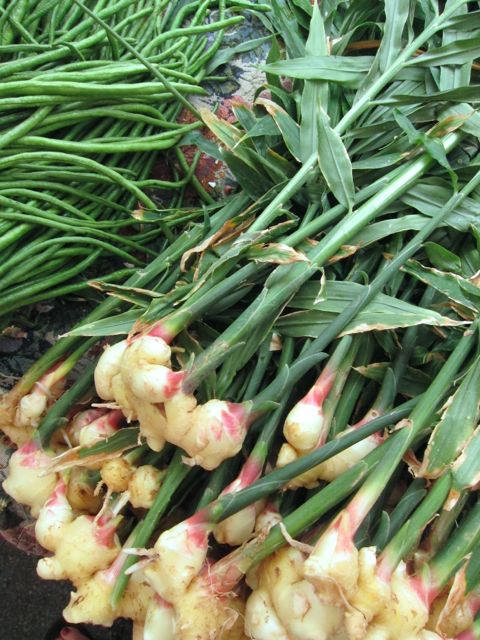 fresh ginger