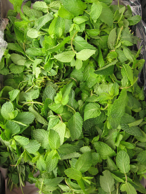 mint
