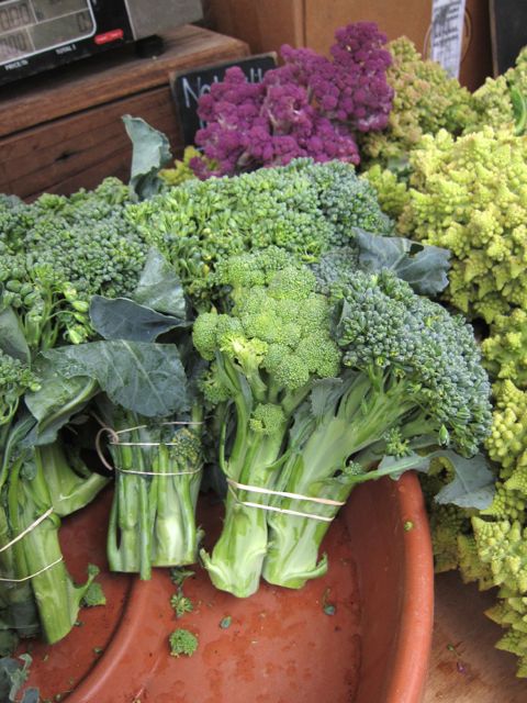 broccoli