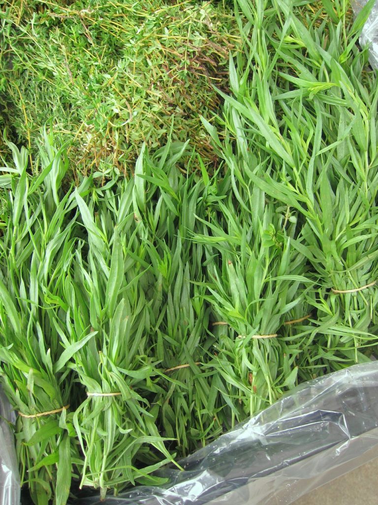 tarragon at the farmers market