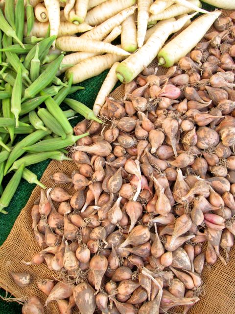 grey shallots