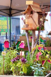 herb garden and bird house