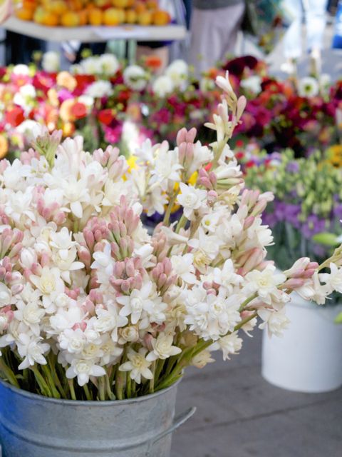 flowers at farmers market