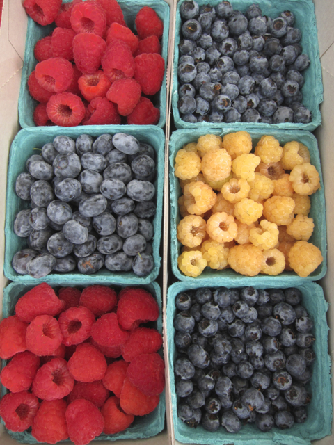 fresh raspberries and blueberries at farmers market